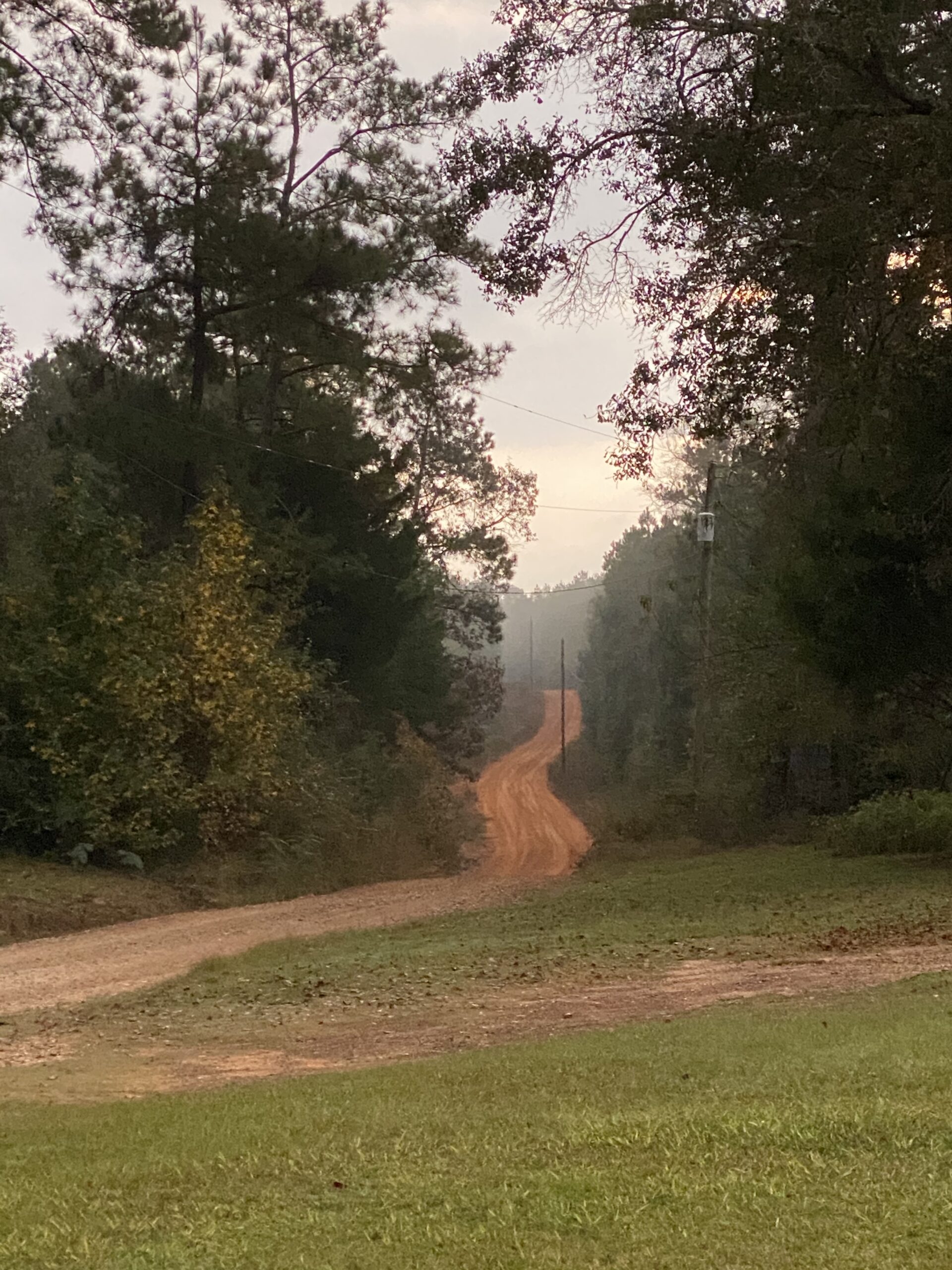 Season of Change: Leaves and Wind on the Red Dirt Road